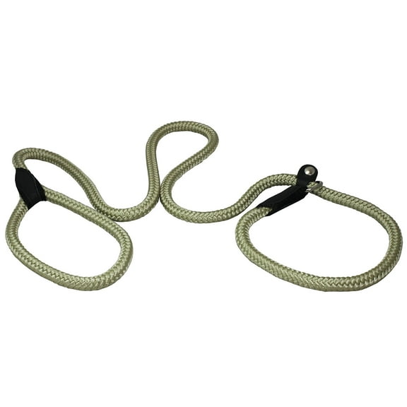 Dogs My Love Nylon Rope Slip Dog Lead Collar and Leash British Style 4ft Long (Large: 0.4" (10mm), Beige)