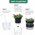 thumbnail image 5 of 4 Inch Self Watering Planter Pot, Black Terracotta Clay Pot with Glass Reservoir for Indoor Plants, Herbs, Flowers, Set of 2, 52-C-E-2, 5 of 5
