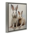 thumbnail image 4 of Stupell Industries Fluffy Spring Rabbits Animals Painting Gray Floater Framed Canvas Art Print Wall Art, 25 x 25, 4 of 10