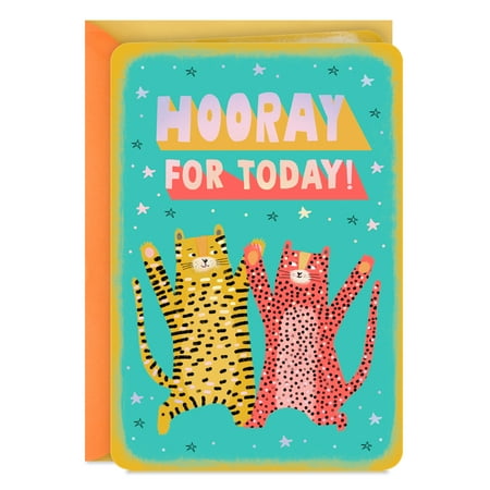 Hallmark Just Because Congratulations Card (Hooray, Jungle Cats)