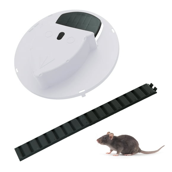 Bucket Lid Mouse Trap