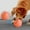 Cat Toys & Dog Toys Orange, variant on YaoZQ Smart Interactive Dog Ball, Motion Activated Bouncing & Vibrating Toy with LED Lights, Durable TPU for Puppies, 2.2 in, Blue