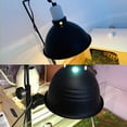 thumbnail image 5 of Heating Lamp Support Reptiles and Amphibians Adjustable Height Lighting Support Metal Turtle Heating Lamp Light Bracket, 5 of 5