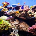 thumbnail image 3 of BESTYASH De Resina Para Acuario Con De Buceador Y Decorativas, 3 of 6
