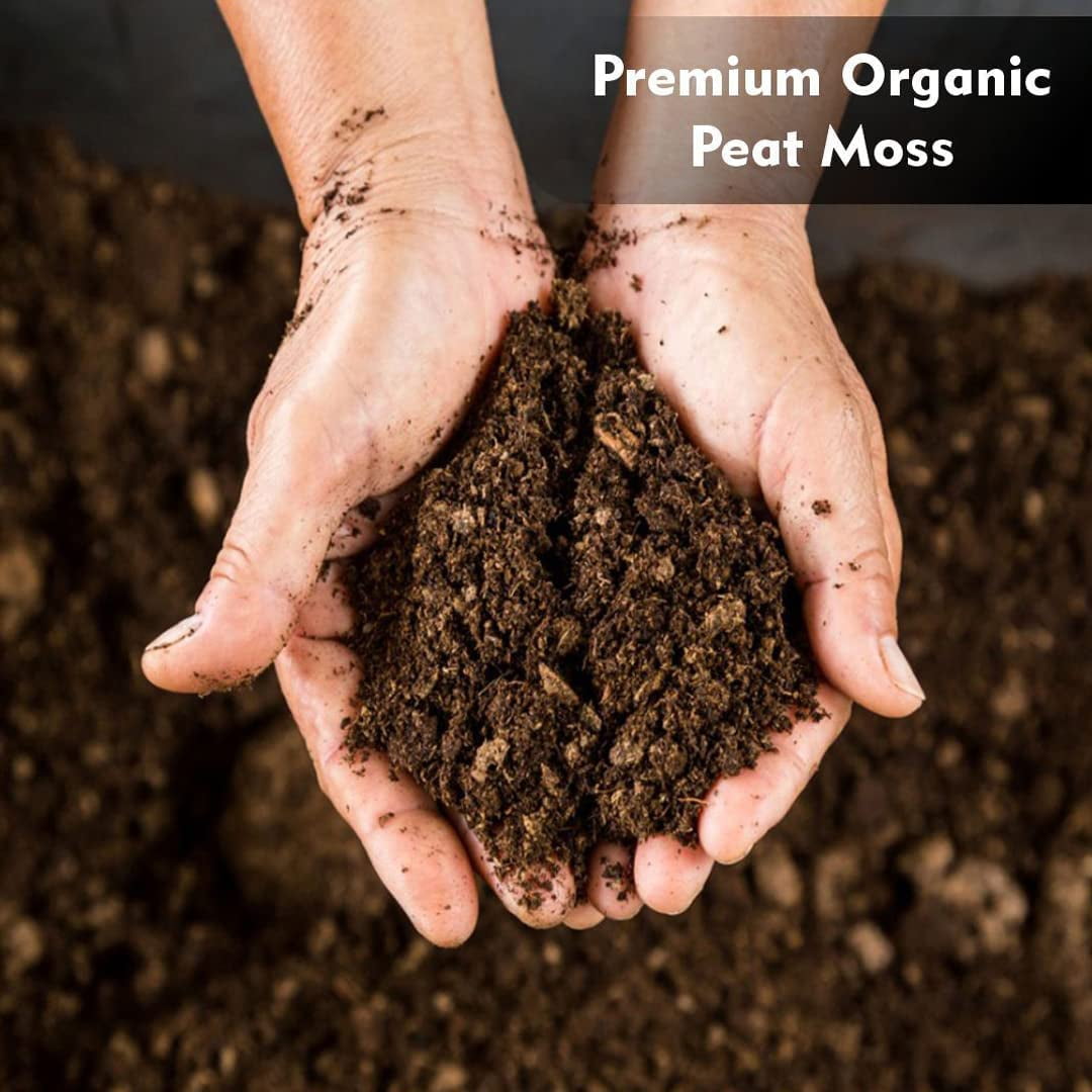 Organic Peat Moss, 20 Quarts – 100% Sphagnum Peat Moss, SEMI Compressed, for Potted Plants & Seed Starting – Organic Gardening for Indoor and Outdoor use 20 Quart