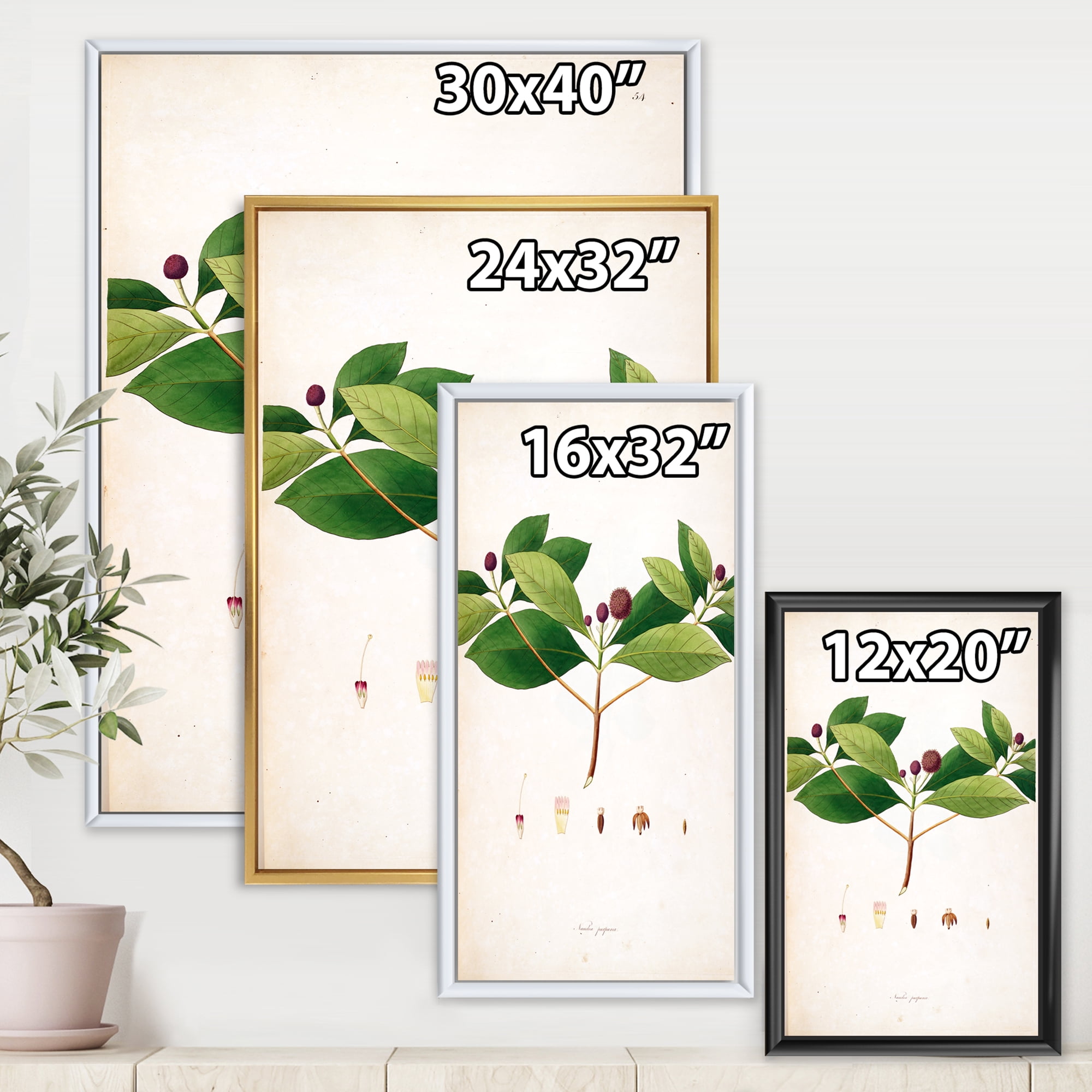 Designart 'Ancient London Plants X' Farmhouse Framed Canvas Wall Art Print