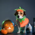 thumbnail image 6 of WILLED Halloween Cat Costume Pumpkin Cloak and Hat Set, Cute Pet Halloween Costumes for Cats and Kittens, Adjustable Soft Flannel, Festive Pumpkin Design for Halloween Parties Cosplay and Photo Props, 6 of 7