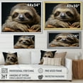 thumbnail image 4 of Designart "Adorable Sloth Portrait" Animals Floater Framed Canvas Wall Art, 4 of 7