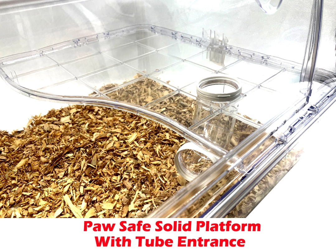 Acrylic Clear 2-Level Dwarf Hamster Palace Mouse Home Gerbil House Rat Habitat Cage Include Full Accessories With Running Wheel Water Bottle Hide House Food Bowl