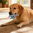 thumbnail image 3 of Interactive Squeaky Rattle Dog Toy High Elastic Rolling Pet with Straps for Puppy Small Medium Breed, 3 of 4