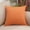 Orange, variant on Dtwnek 18x18 Inch Linen Throw Pillow Cover, 1 Pc Decorative Square Pillowcases Cushion Covers, Silver Gray