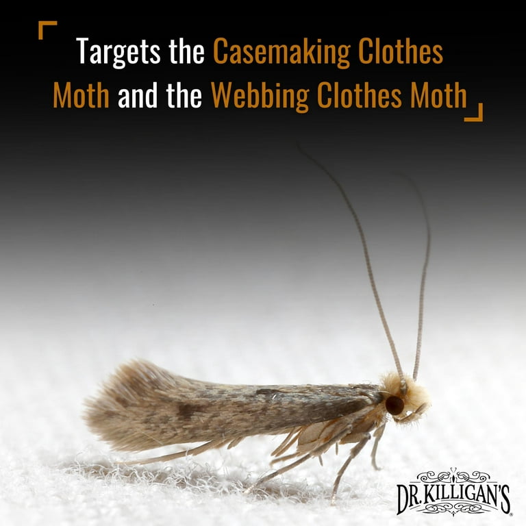 12 tips on how to prevent a clothing moth infestation – Dr. Killigan's