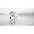 thumbnail image 2 of Jones, Neville 14x9 White Modern Wood Framed Museum Art Print Titled - Serenity, 2 of 4