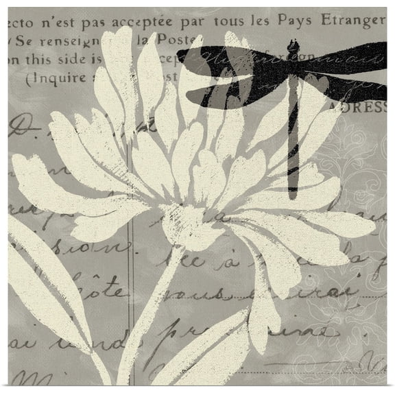 Great BIG Canvas | Rolled Daphne Brissonnet Poster Print entitled Natural Prints II