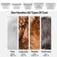 thumbnail image 5 of Cuchillas anchas para peluquería canina Audoc compatibles con Andis, Oster A5, Wahl km10, 5 of 7