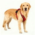 thumbnail image 4 of Pet Others Chest Harness Adjustable Harness for Dogs M Size, 4 of 4