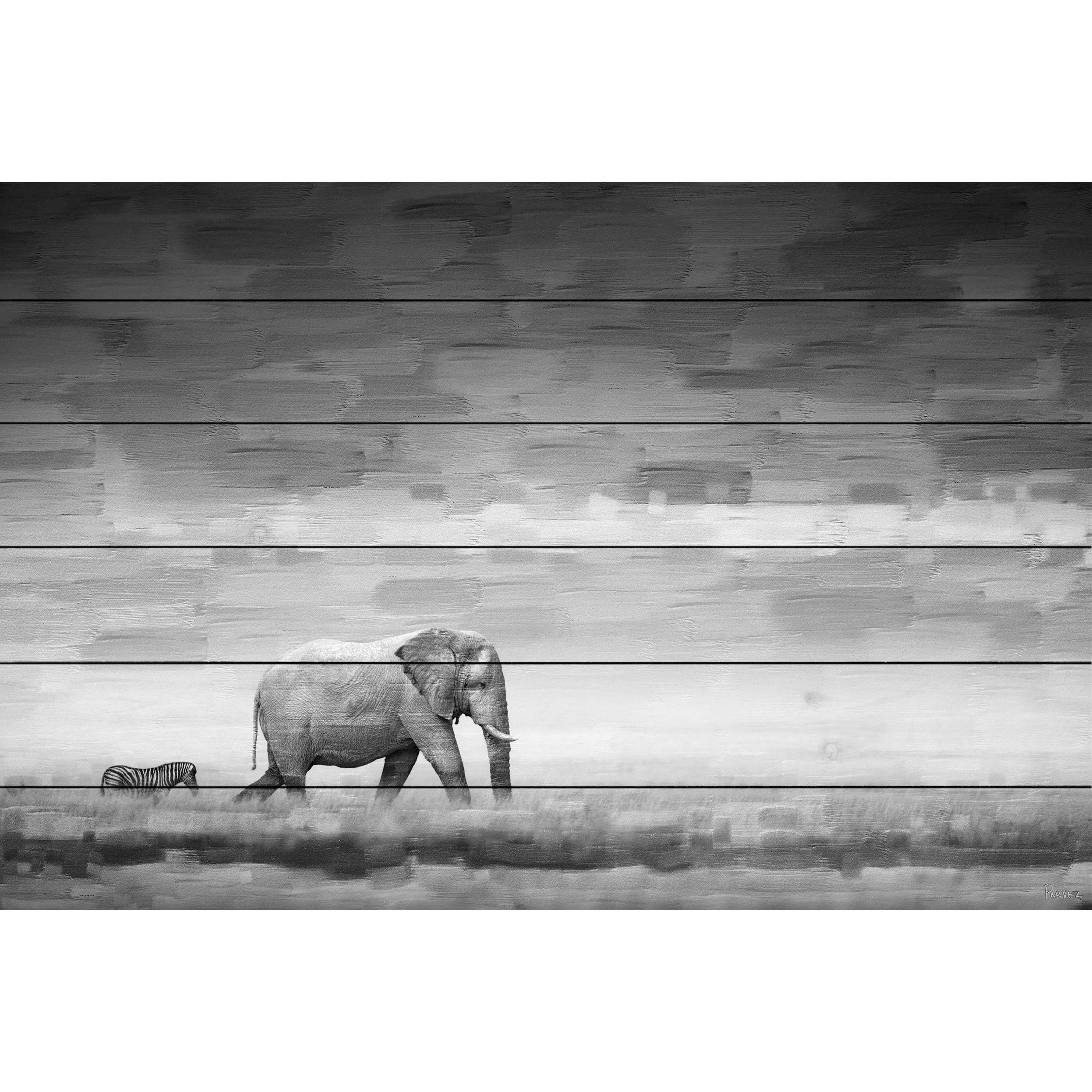 Parvez Taj  - Elephant Painting Print on White Wood 45 x 30