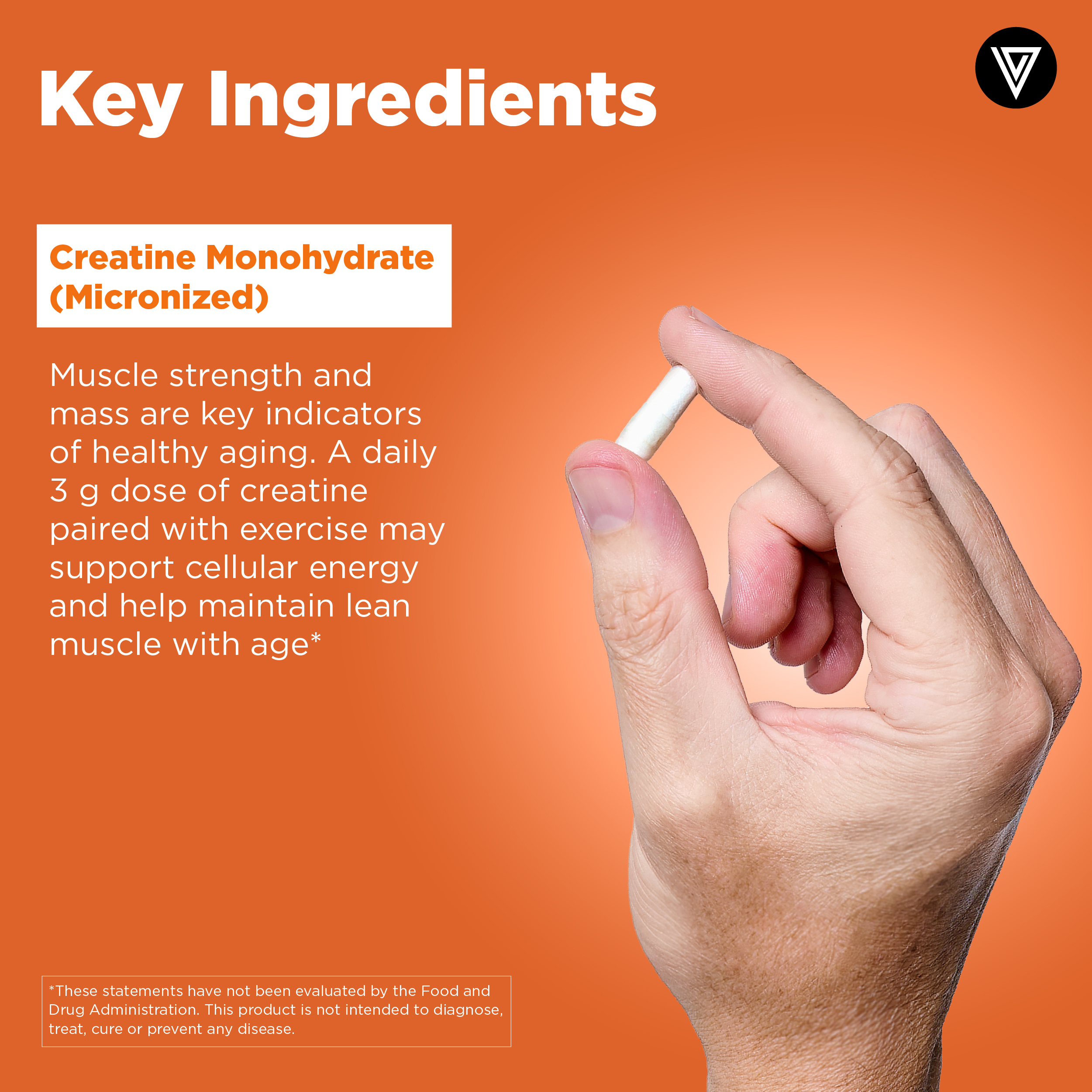 Vital Vitamins Creatine Monohydrate Capsules – Muscle Strength, Recovery & Cognitive Support for Men & Women – 120 Vegan Pills