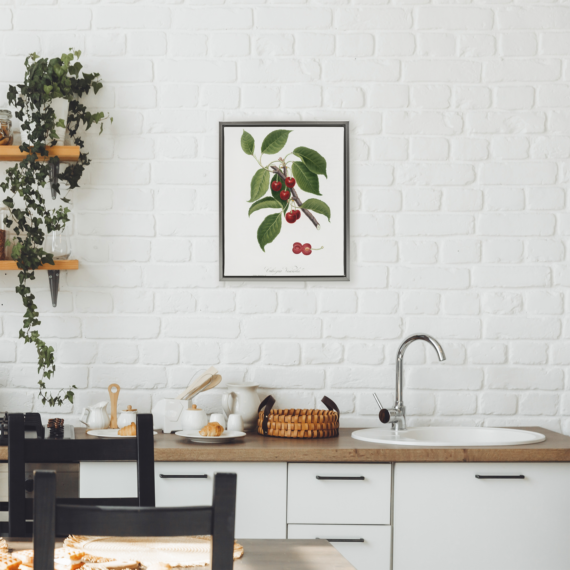 Latin Study of Cherry Plant Gray Framed Floater Canvas Wall Art, design by Lettered and Lined