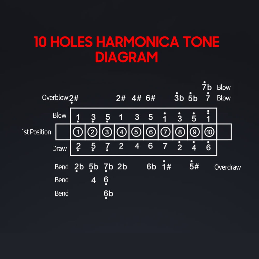 Blues-Harmonica in C , 10 Holes Blues-Harp Diatonic Harmonica 20 Tones  Mouth Organ Harmonica For Adult, Kid, Beginner - AliExpress
