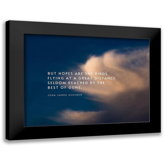 ArtsyQuotes 14x12 Black Modern Framed Museum Art Print Titled - John James Audubon Quote: Shy Birds Flying