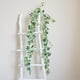 thumbnail image 1 of Decoración del hogar, decoración de habitaciones, decoración de paredes, simulación de ratán de 1,8 m, simulación de hiedra, ventana, pared, simulación de ratán verde, flores falsas., 1 of 6