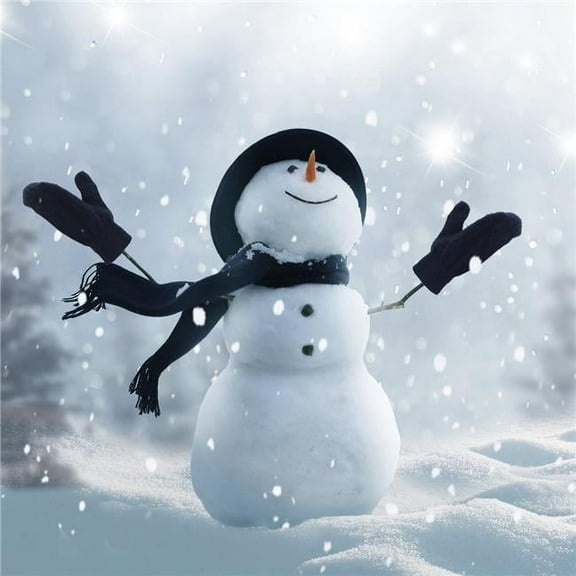 Artful Printers C-16162149 Its Snowing Holiday Canvas Art, 16 x 16 in.