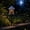 D, variant on 2026 new Solar Fairy-Tale Mushroom Cottage Garden Light, Waterproof LED Outdoor Mushroom House Statue Decor Lamp, Auto On/Off Landscape Pathway Light for Yard Patio Lawn Flower Bed