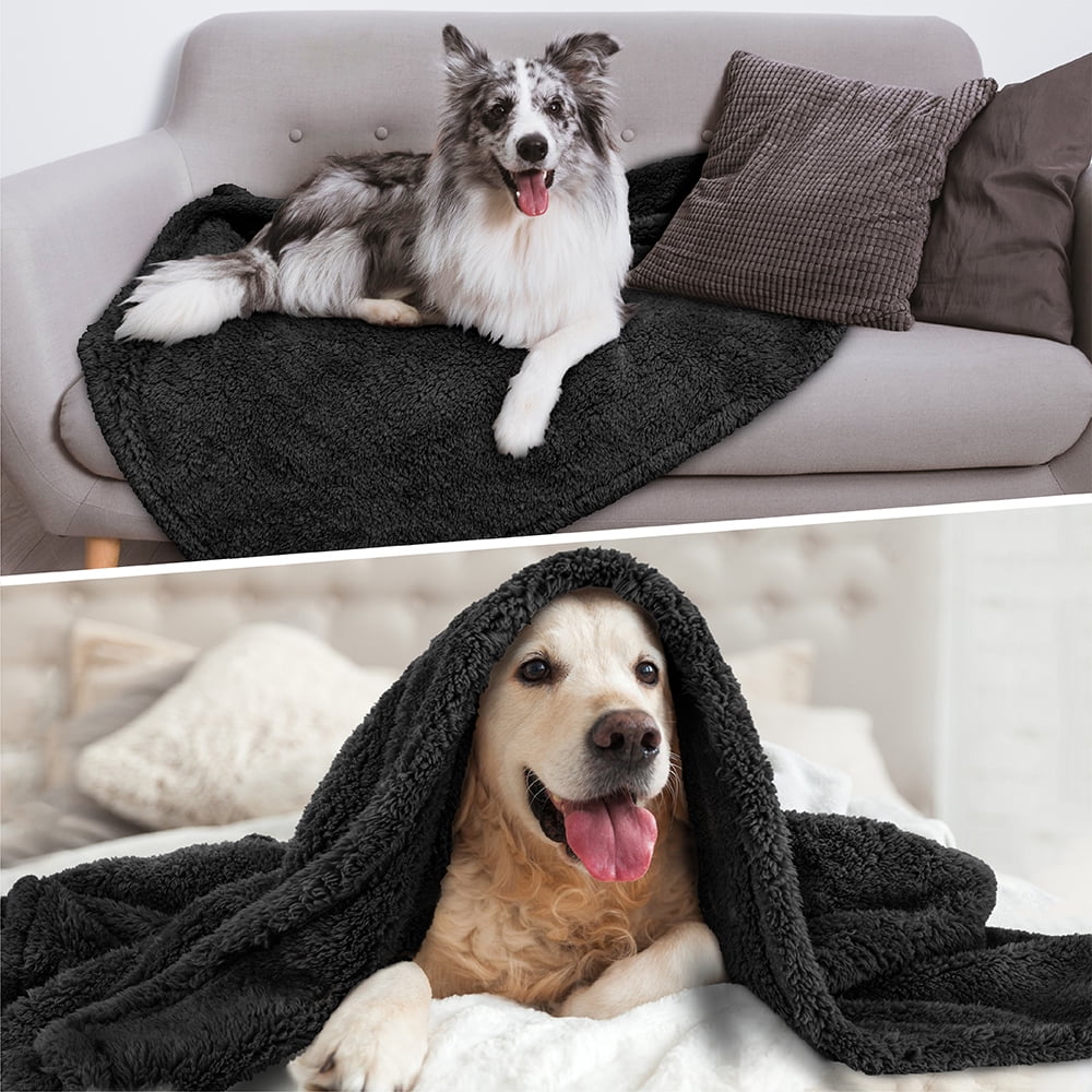 bernese mountain dog throw blanket