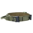 thumbnail image 1 of Pet Dog Collar Nylon Training Hunting Traction Collar with Steel Buckle Pet AccessoryGreen, 1 of 22