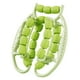 thumbnail image 4 of Rodillo muscular de mano con abrazadera circular para piernas, ergonómico, 360 grados, 23 ruedas de masaje Verde, 4 of 8