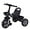 Black, variant on SHCKE Unisex Kids Tricycle, Rose Red, 24.4" x 29.5"