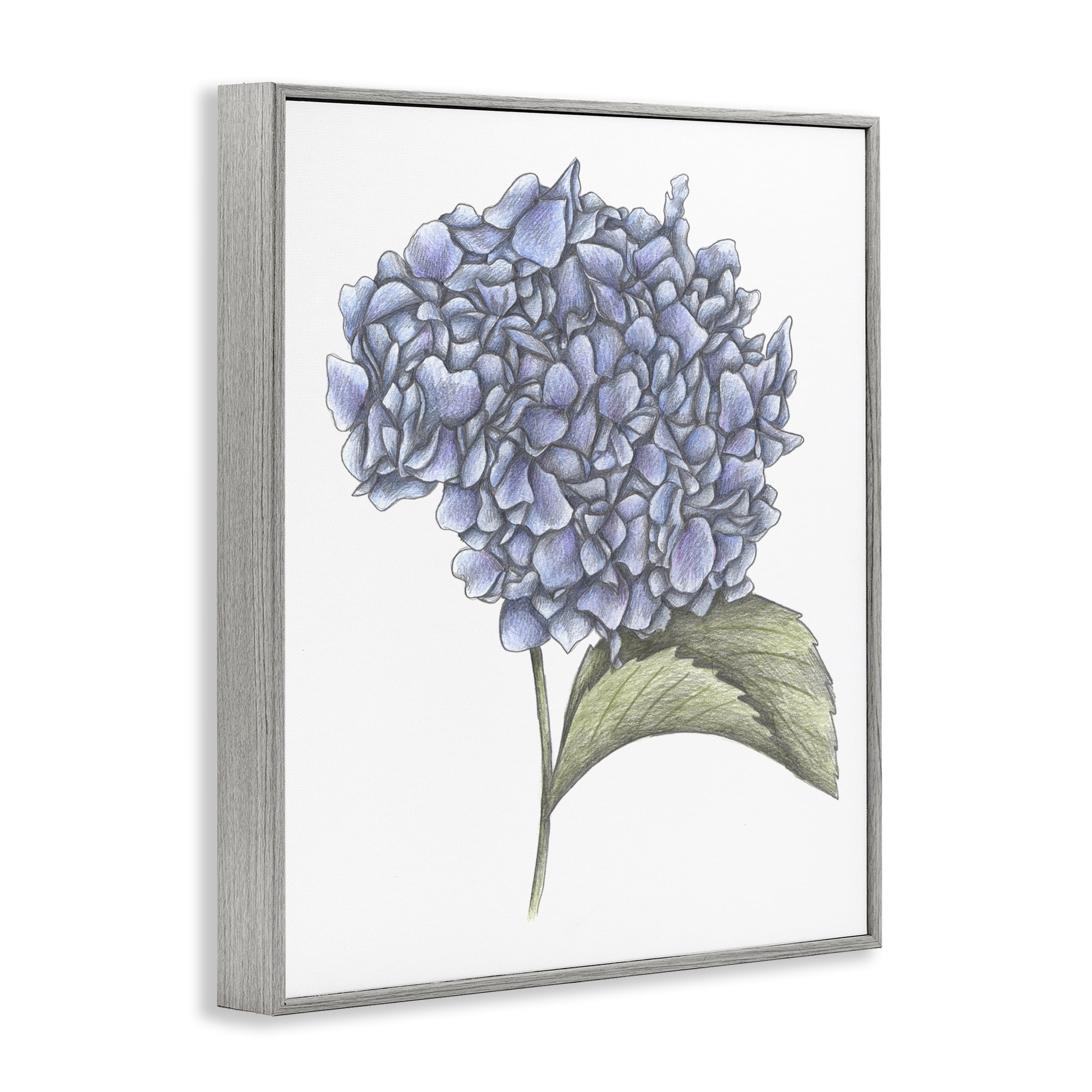Hydrangea Sketch Blossom Gray Framed Giclee Art, design by Cecilia Battaini