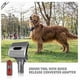 thumbnail image 2 of Cepillo aspirador para perros y gatos, herramienta de aseo para mascotas Dyson V11 V10 V8 V7 + manguera de extensión Flexible + Adaptador convertidor + gatillo, 2 of 5