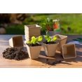 thumbnail image 2 of 10 Pack Grow Pots 3.1*3.1*3.1*1.5Inch Paper Cellulose Biodegradable Seedling Pot Plant Growing, 2 of 5