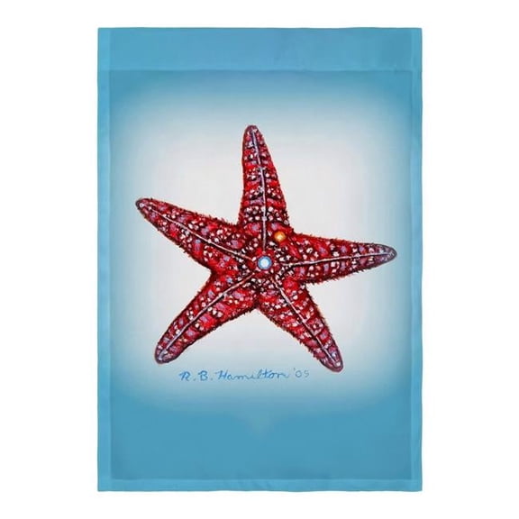 Betsydrake FL1169 12.5 x 18 in. Dicks Starfish Flag