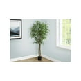thumbnail image 3 of Monarch Artificial Plant, 79" Tall, Ficus Tree, Floor, 3 of 3