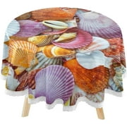 SKYSONIC Colorful Seashells Starfishes Round Tablecloth 60inch Indoor Wrinkle Free, Circular Lace Table Cover Washable for Kitchen Party BBQ Dining Decor