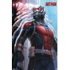 Marvel Cinematic Universe - Ant-Man - Lang Wall Poster, 22.375" x 34"