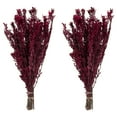 thumbnail image 5 of Vickerman 18-20" Merlot Pubescens Bundle.  Includes 10 oz (2 -5 oz Bundles). Preserved, 5 of 6