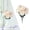 B, variant on Clearance Under $1 Artificial Carnation Pick 7-Fork Carnation Spray For Living Room Vase Filler,Plastic White (1Pc)