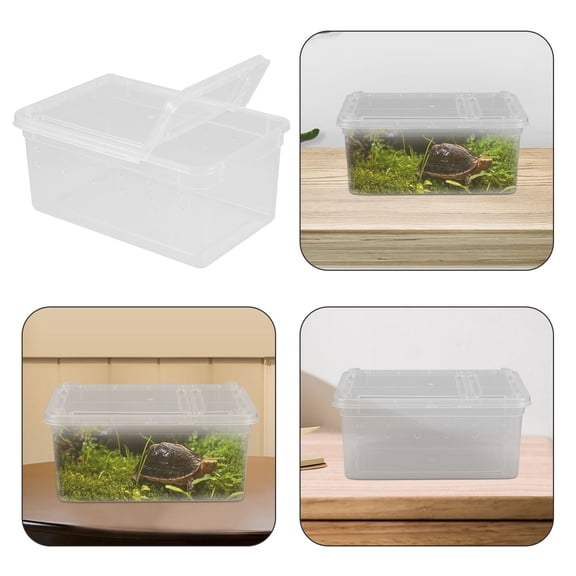 PBPBOX Transparent Acrylic Reptile Feeding Box Portable Compact Habitat Enclosure for Small Reptiles and Spiders