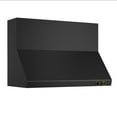 thumbnail image 5 of 48 in. 900 CFM Wall Mount Range Hood in Titanium Stainless Steel with Gold, 5 of 9
