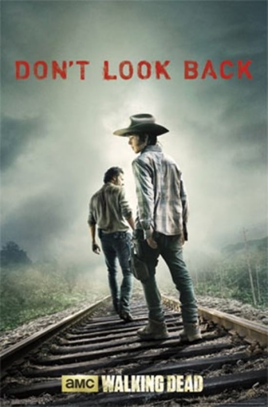 AMC FILMS THE WALKING DEAD RICK AND MICHONNE POSTER NEW 24x36 FREE SHIP 