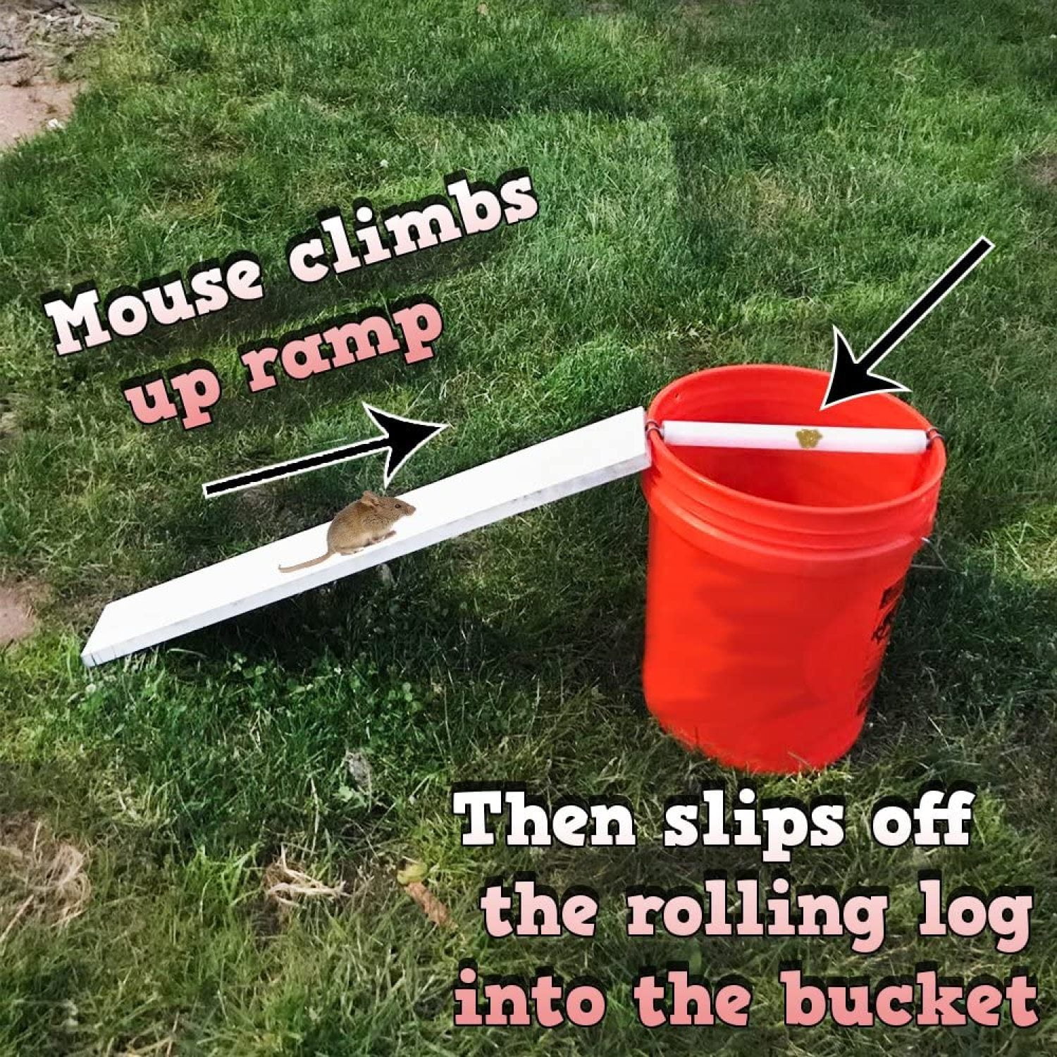 Mouse Trap Bucket, Auto Reset Multi Catch Mouse Trap for Indoor and Outdoor Usage, Mouse Bucket Trap 5 Gallon Bucket Compatible
