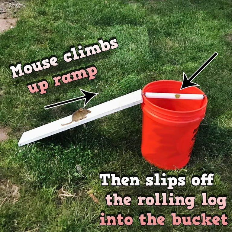 HElectQRIN - Rolling Log Mouse Trap - Multi Catch 5 Gallon Bucket Trap -  Easy Setup- No Drilling Necessary