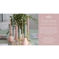 thumbnail image 4 of Root Unscented Timberline Collenette 9" Candles, Dusty Rose - Box of 4 (519465), 4 of 4