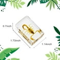thumbnail image 6 of Real Insect in Resin Block, Clear Paperweight for Desk Display, Science Education, Collection, 6 of 8