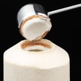 thumbnail image 3 of Herramienta de Acero inoxidable Advancent para abrir cocos con hoja afilada, 3 of 6