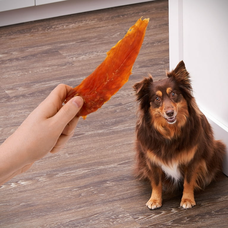 Golden Rewards Chicken Flavor Premium Dry Jerky Treats for All Dogs 32 oz